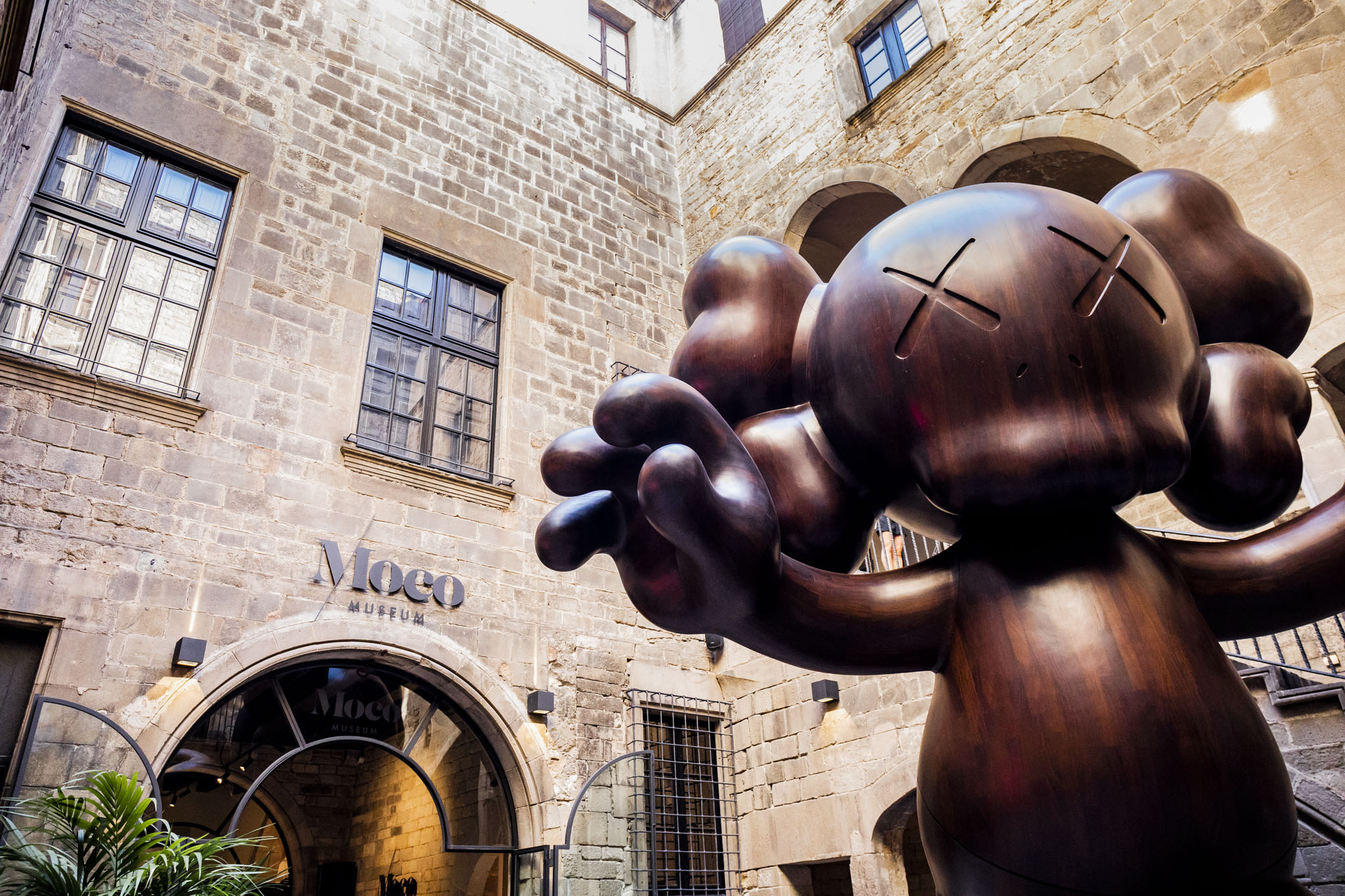 Museo Moco