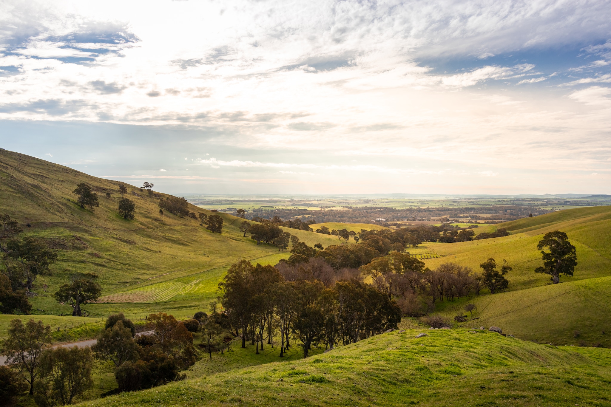 Barossa valley, South Australia