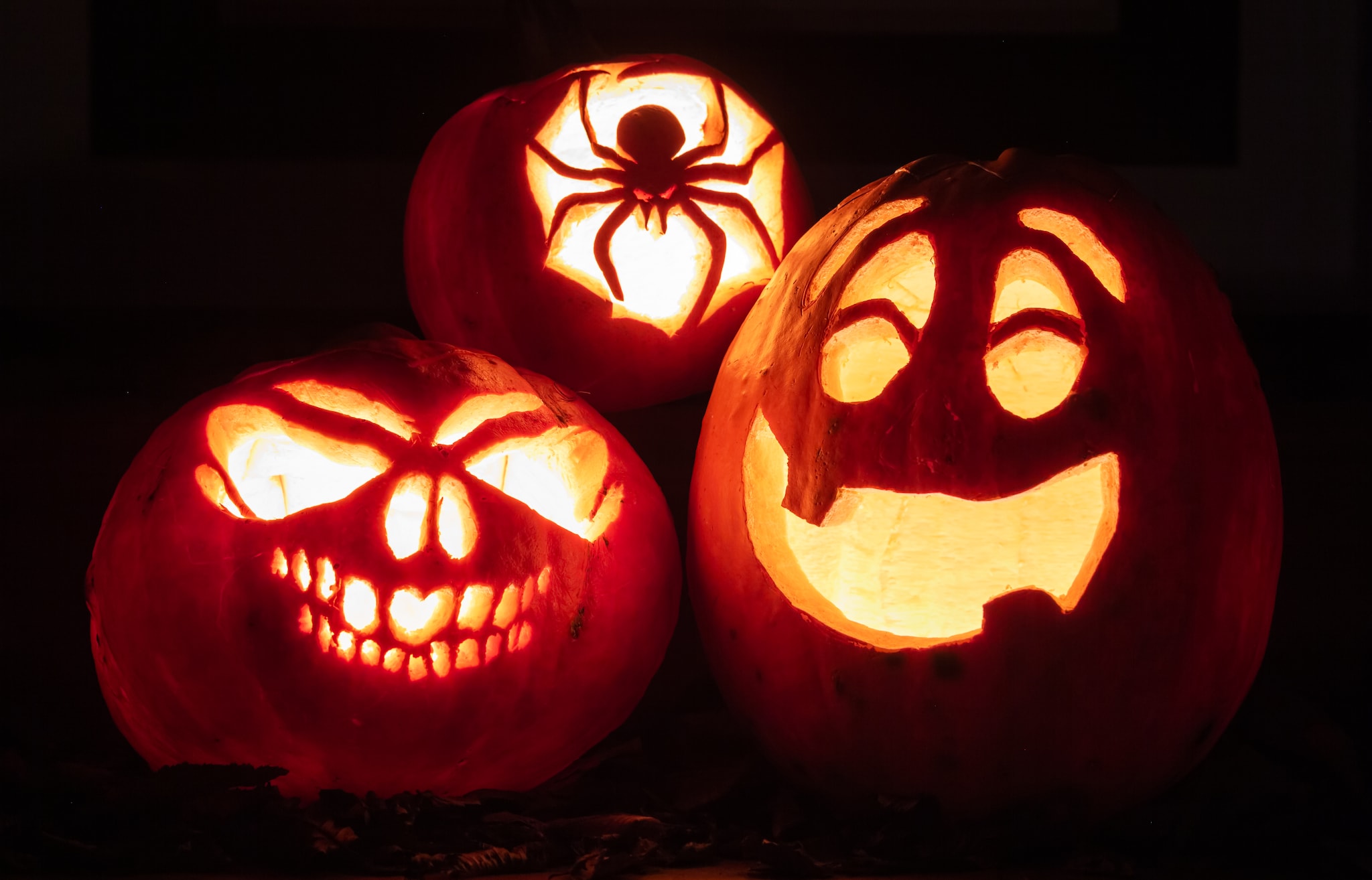 Night shot of illuminated pumpkins in front of a house