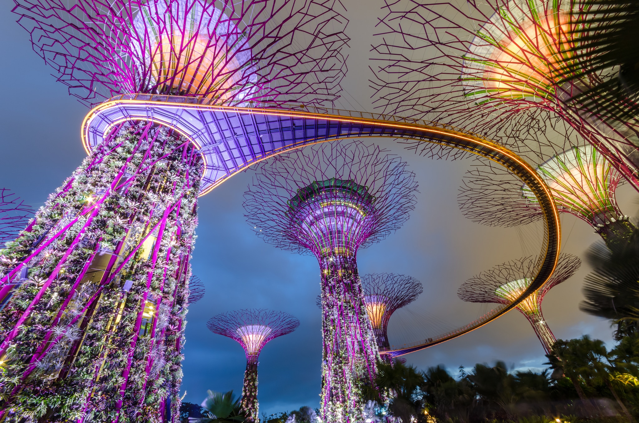 Garden by the bay,Singapore