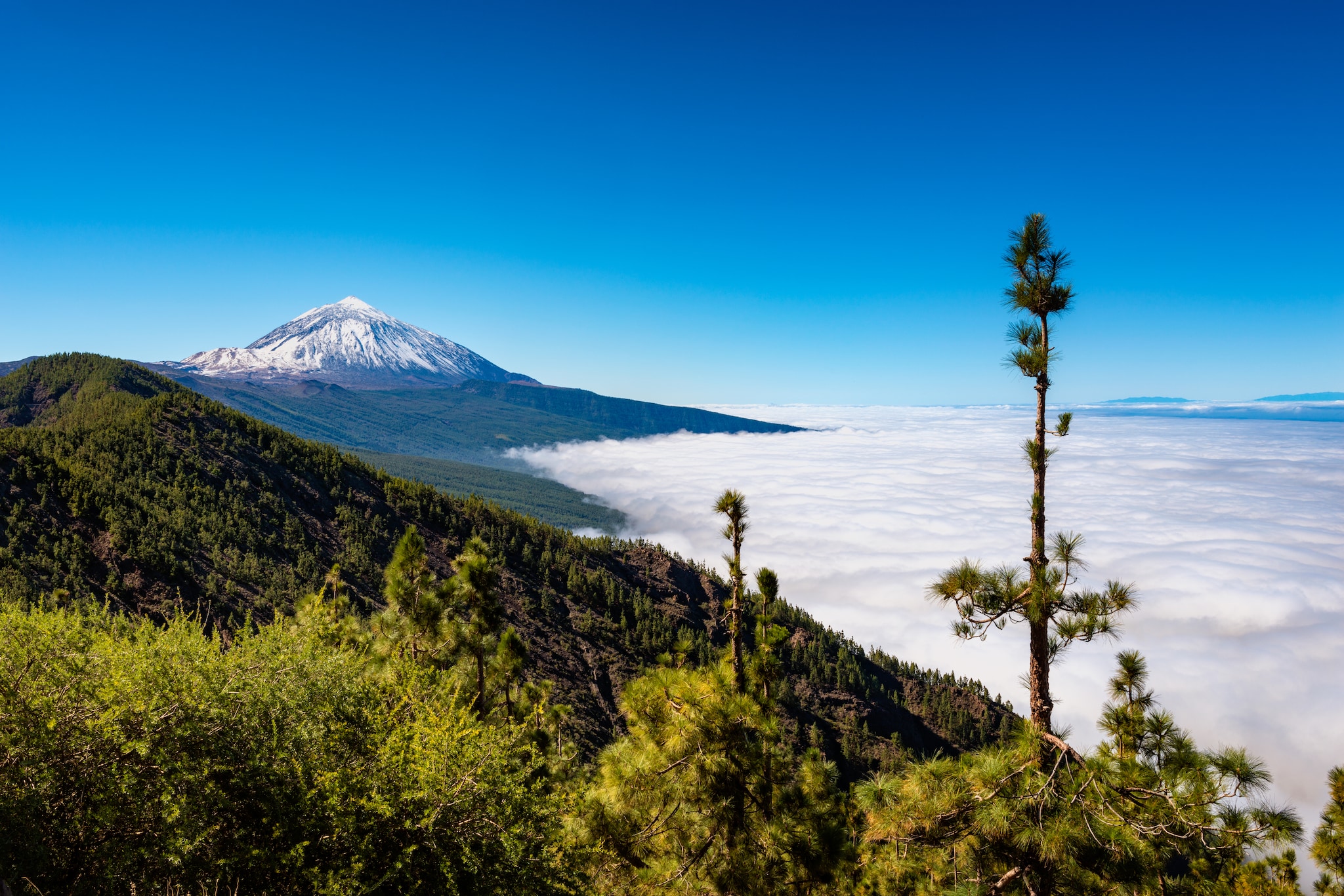 {"metadata_en_GB":{"alt-text":"Mount Teide and Teide National Park, Tenerife, Canary Islands, Spain."}}