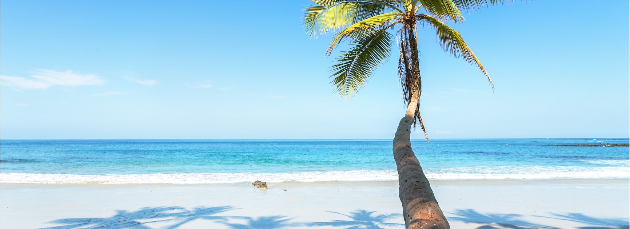 {"metadata_en_GB":{"alt-text":"Caribbean beach with palm tree"},"metadata_en_AU":{"alt-text":"Caribbean beach with palm tree"}}