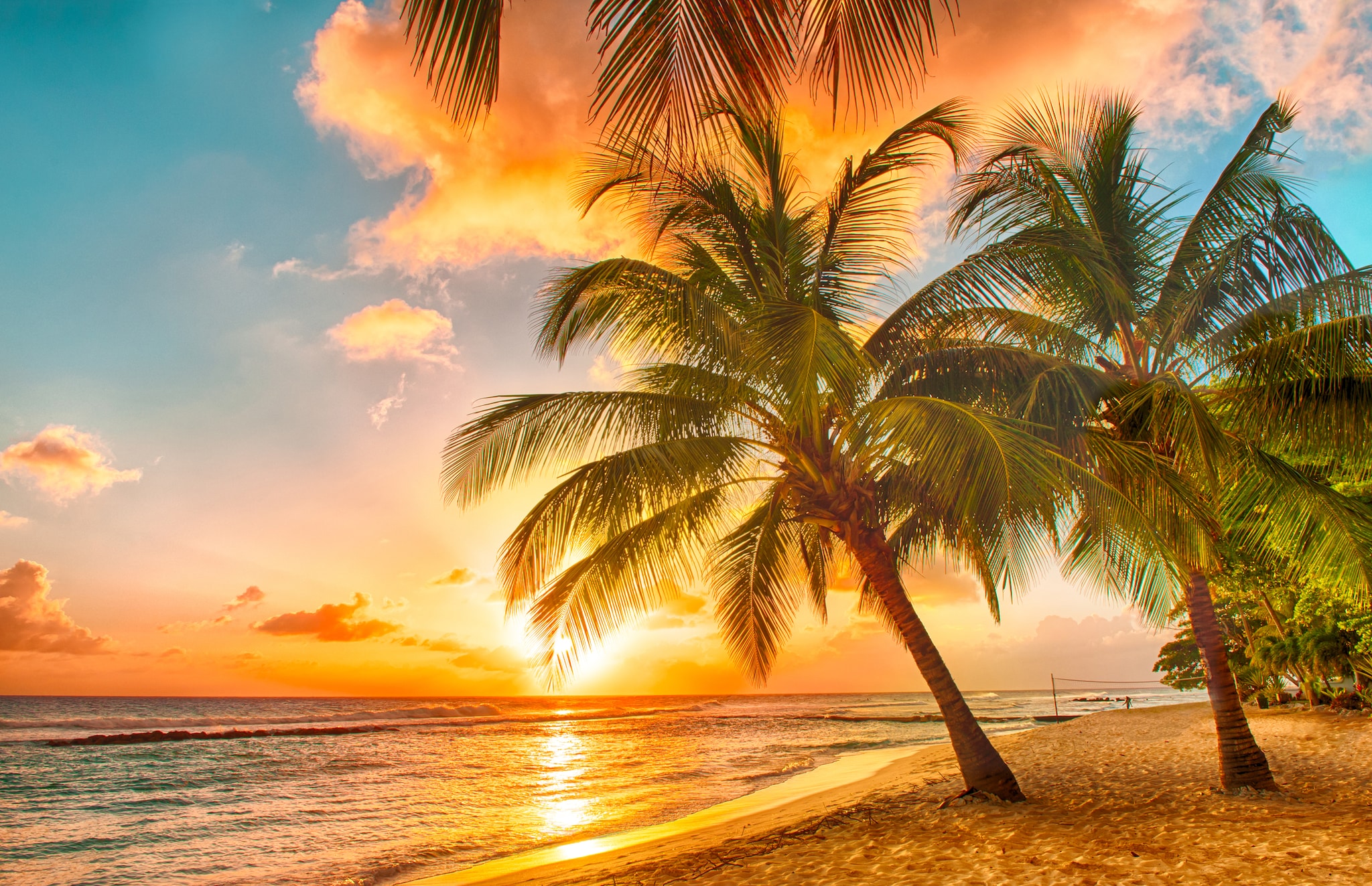 Beautiful sunset over the sea with a view at palms on the white beach on a Caribbean island of Barbados; Shutterstock ID 181844201; project: olly; job: ; client: pocruises; other:
