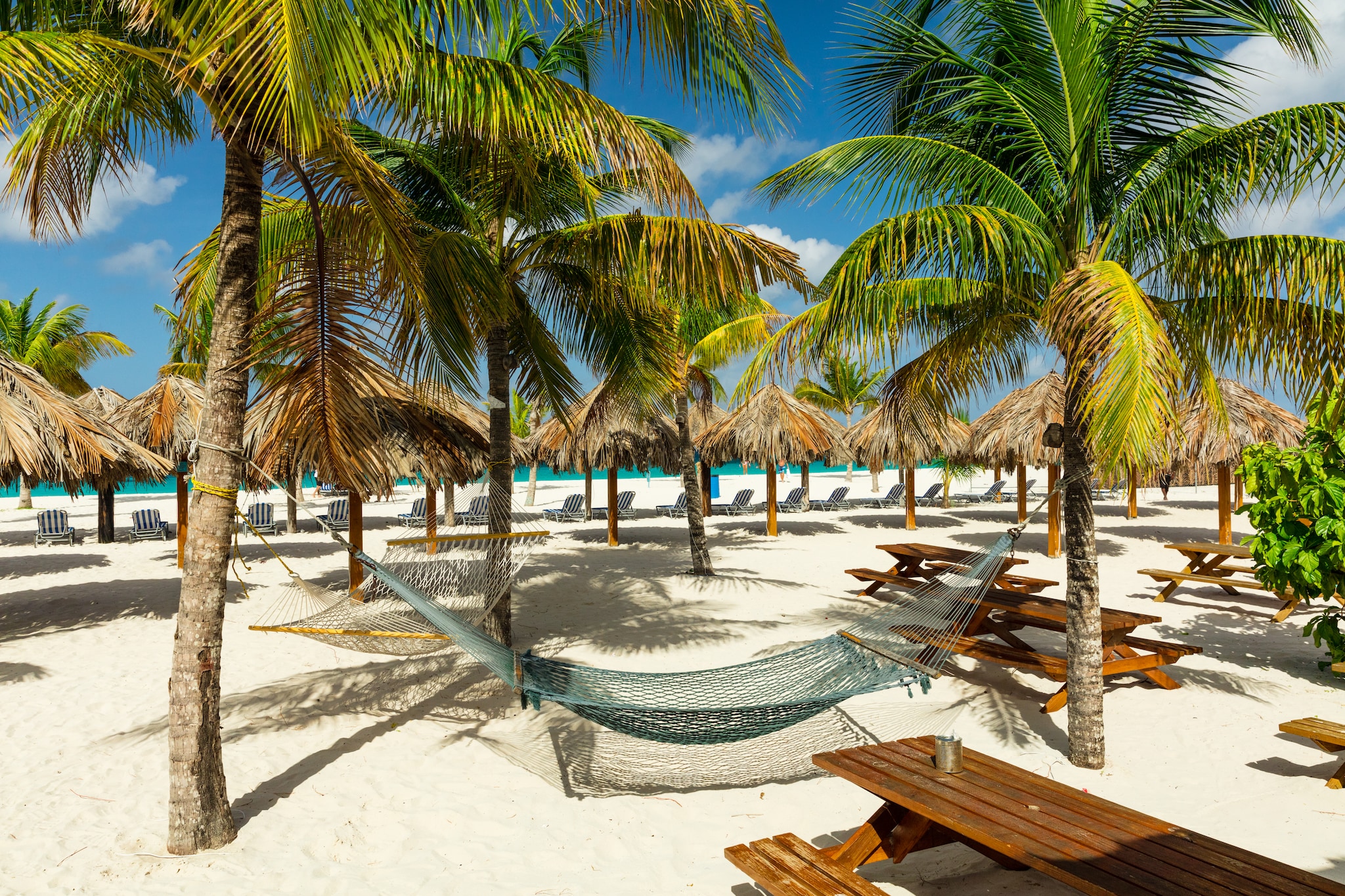{"metadata_en_GB":{"alt-text":"Hammocks and sunbeds under the palm trees on exotic Barbados beach in the Carribean; Shutterstock ID 1131084719; Project: Adobe"}}