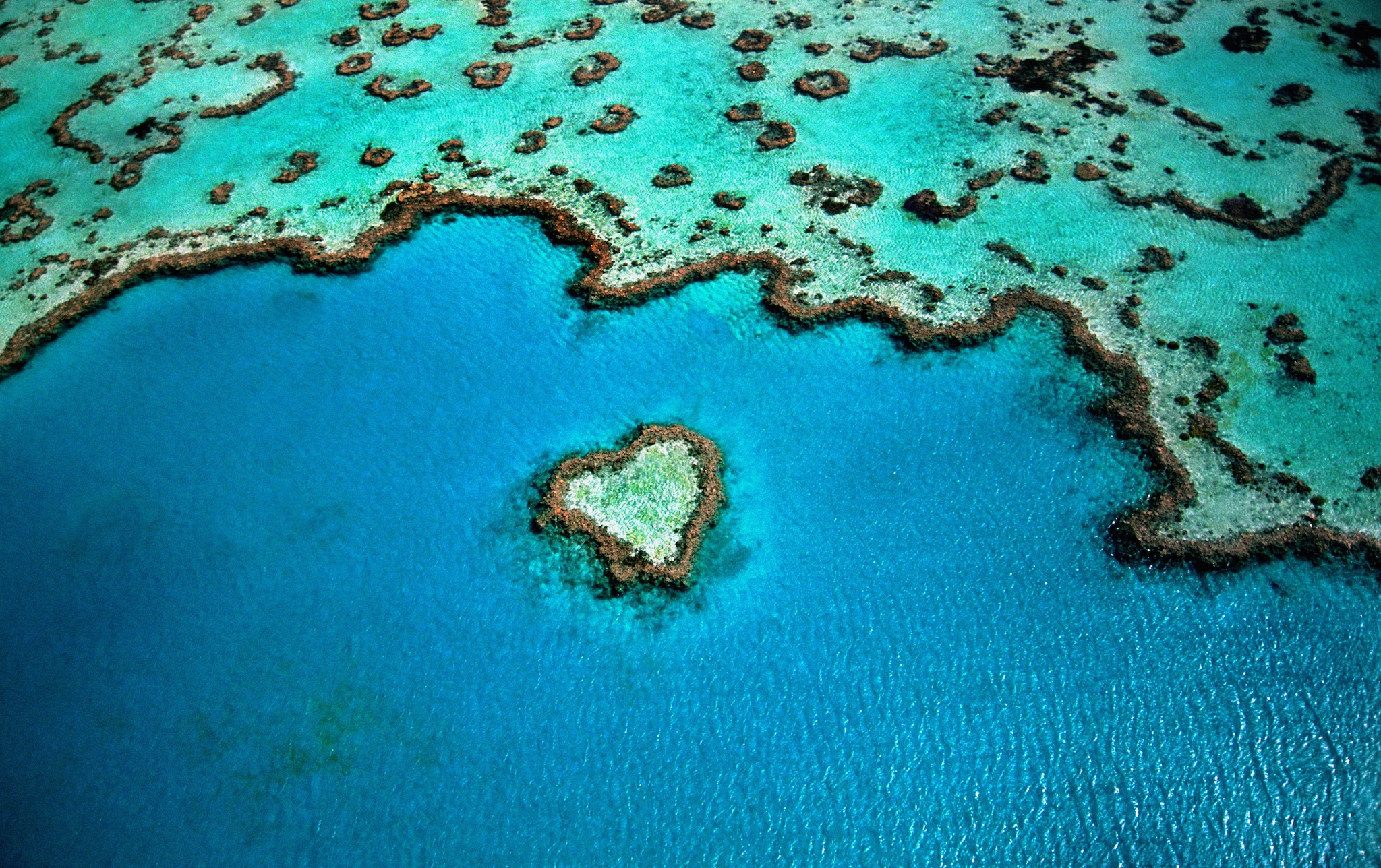 {"metadata_en_US":{"alt-text":"Birds eye view of the coast of the Great Barrier Reef and a small heart-shaped island."}}