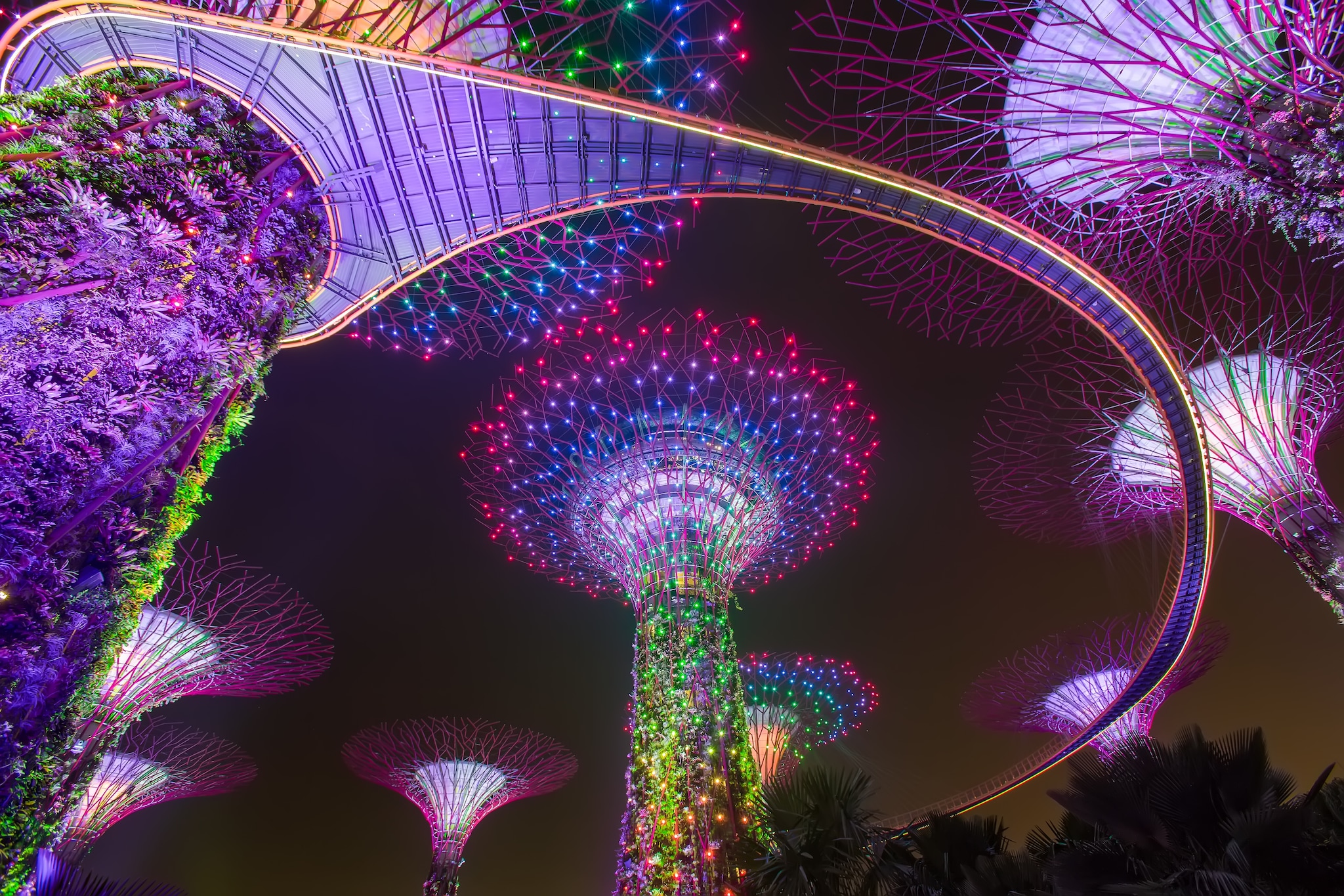 Singapore super trees at night