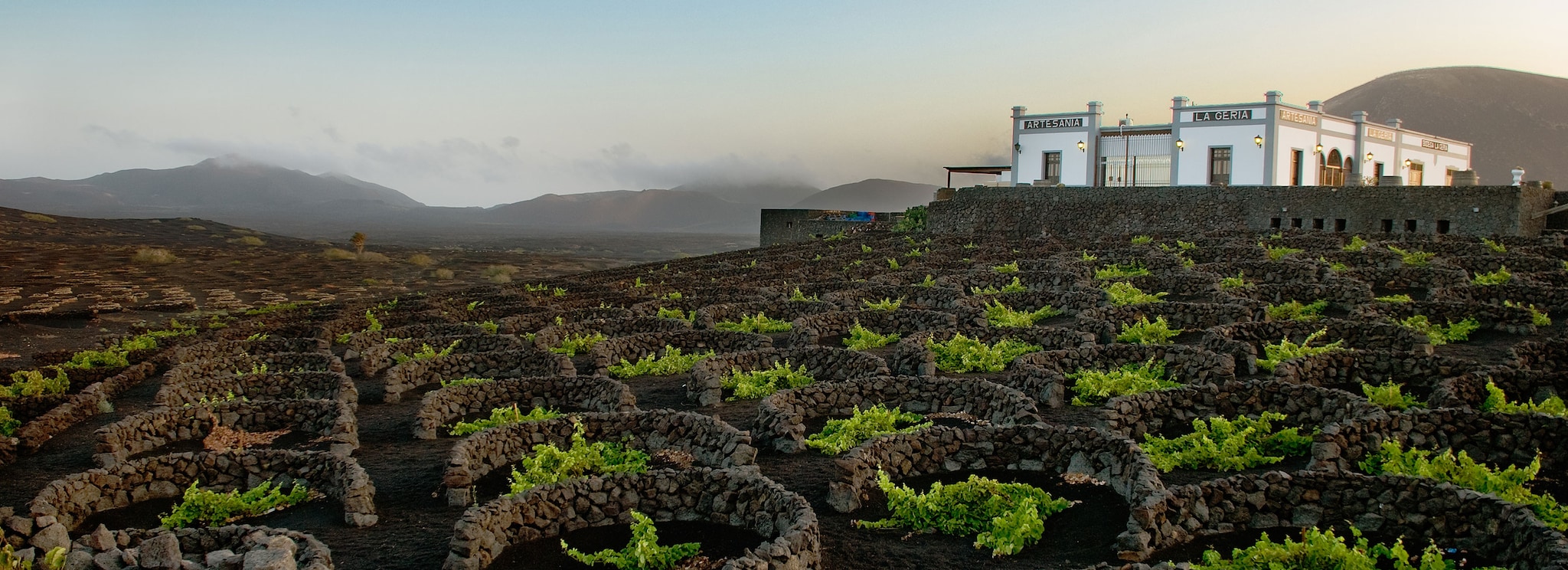 {"metadata_en_GB":{"alt-text":"Bodega La Geria is a family run winery in Lanzarote"},"metadata_en_AU":{"alt-text":"Bodega La Geria is a family run winery in Lanzarote"}}