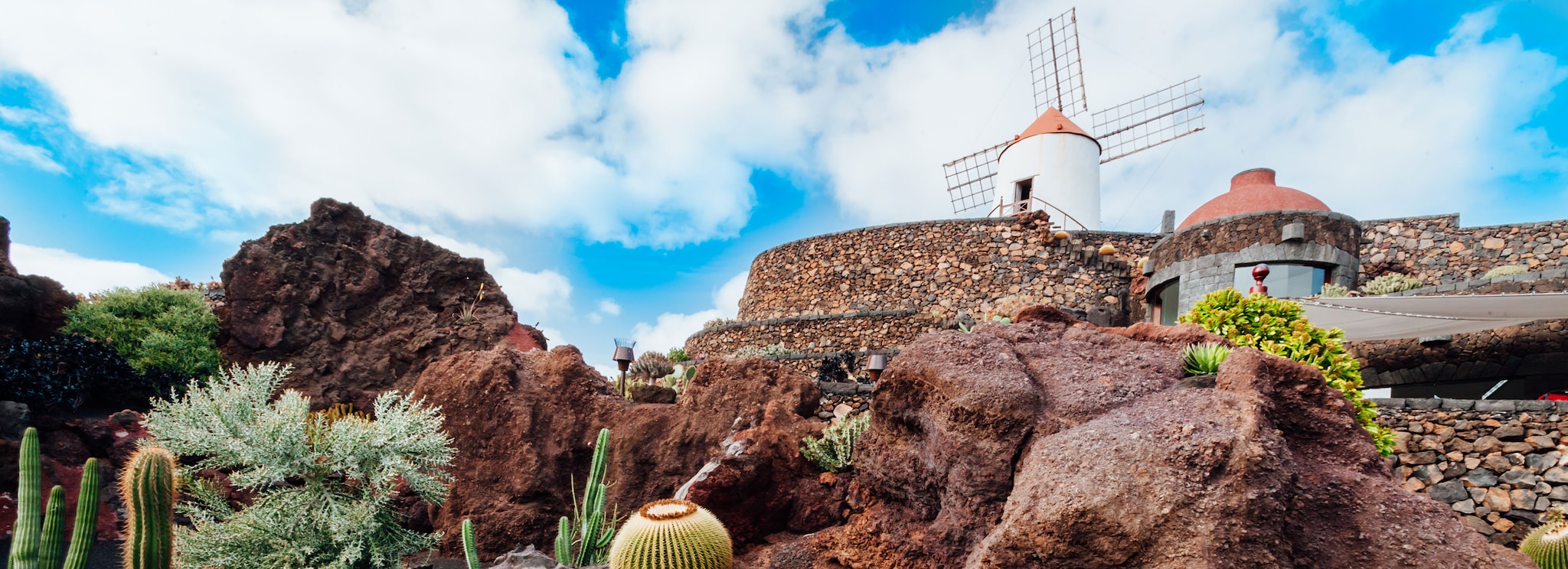 Cactus Garden and windmill in Guatiza, Lanzarote