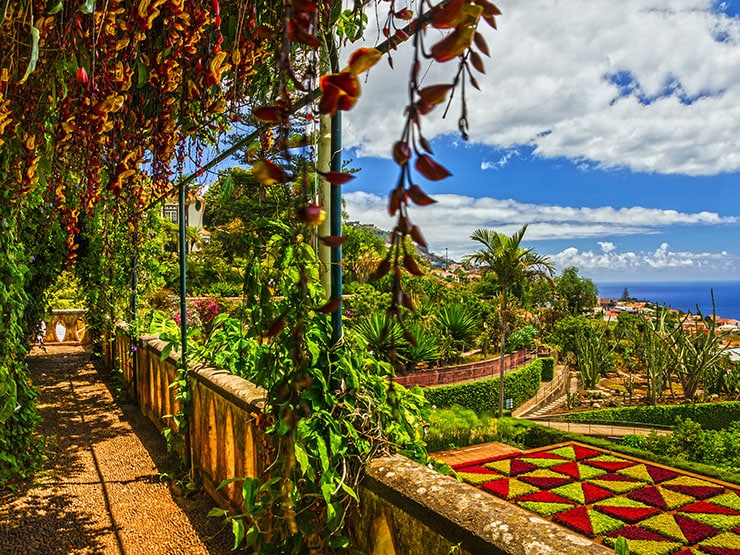 {"metadata_en_GB":{"alt-text":"Madeira, Botanical Garden Monte, Funchal, Portugal; Shutterstock ID 419493172; Project: Moments winter sun"}}