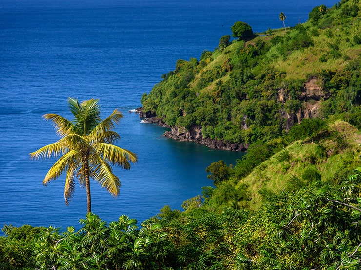 Saint Vincent island